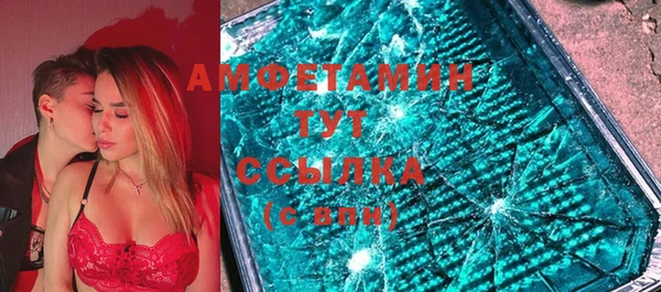 ГАЛЛЮЦИНОГЕННЫЕ ГРИБЫ Козловка